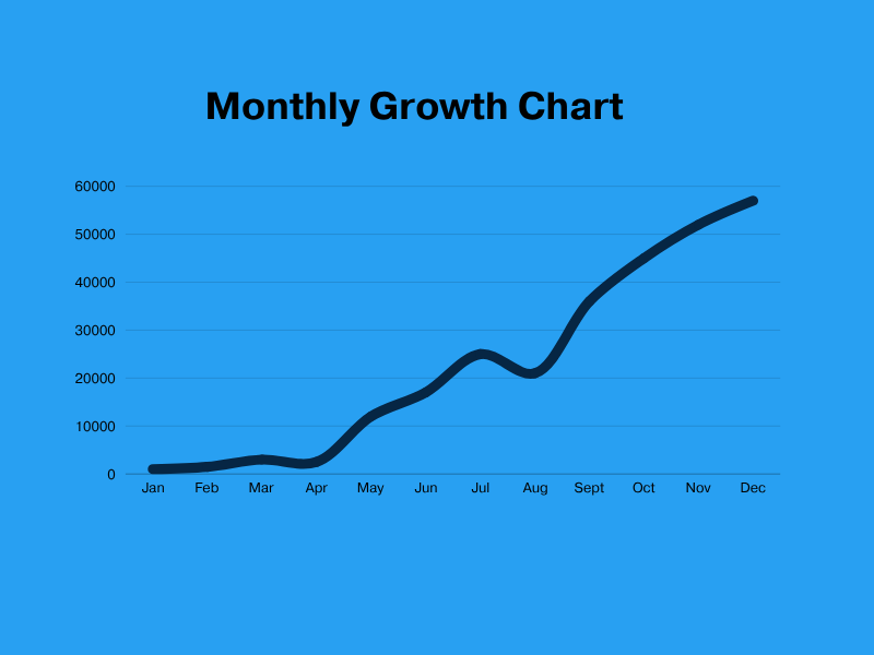 SEO Monthly Growth 8